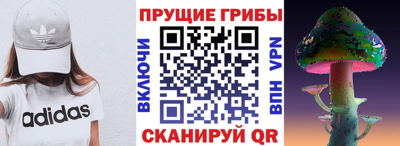 Галлюциногенные грибы прущие грибы  Михайловск 